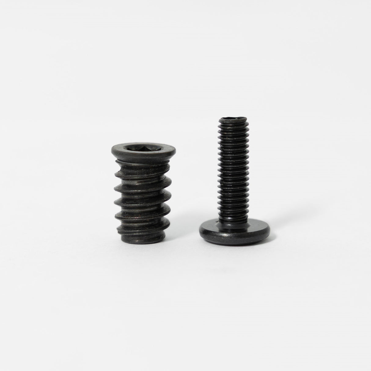 two black screws M6