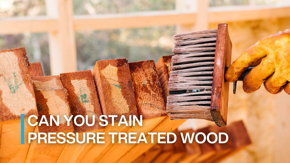 can you stain pressure treated wood