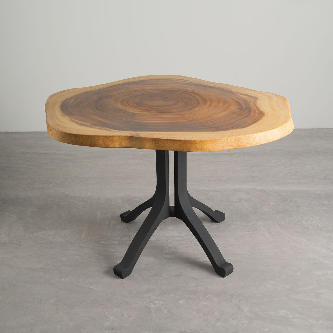 【DOORS】BOTHY　Low Table 900 Table Base 213 | 227 | 233 | 245 Wishbone 28
